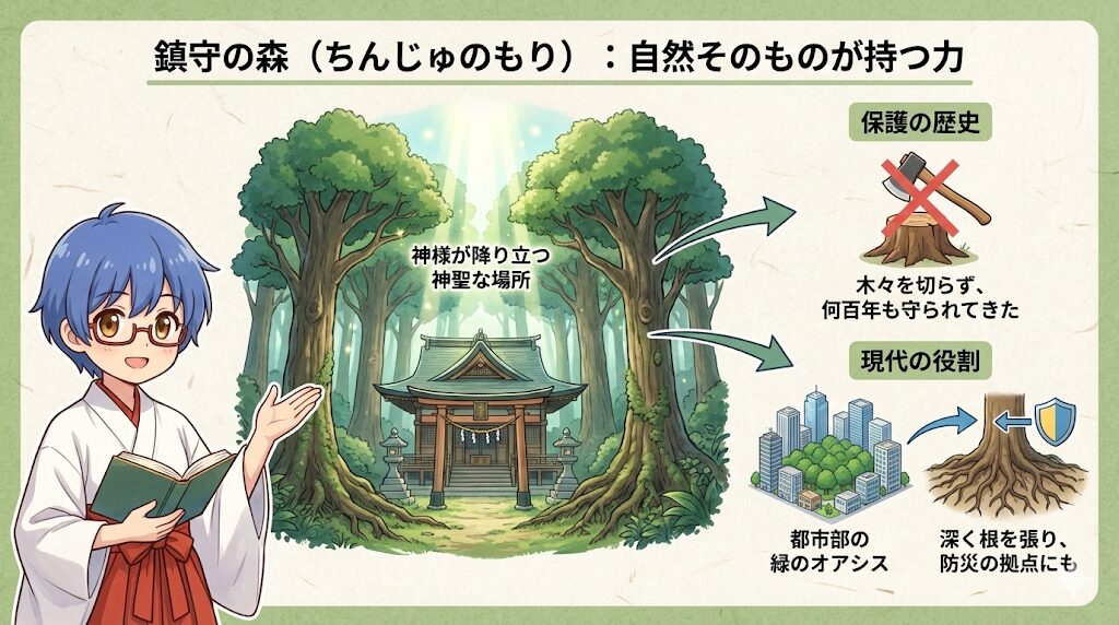 境内案内_鎮守の森