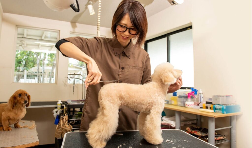 スタッフの心配りとペットへの視線